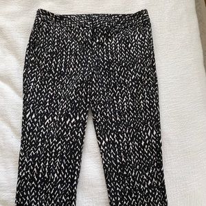 Express Columnist Pant